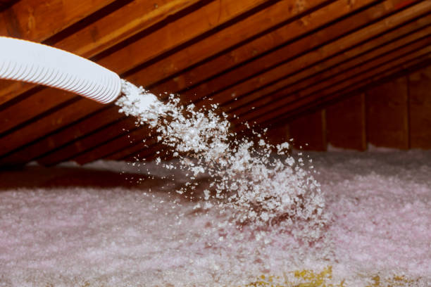 Best Insulation Contractors for Homes  in Hickman, NE