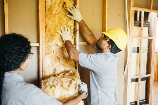 Soundproof Insulation Installation in Hickman, NE