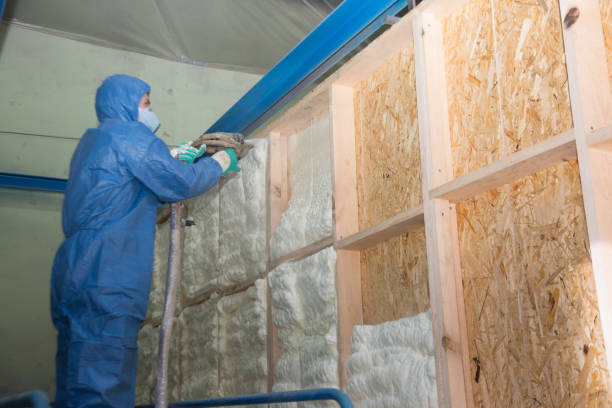 Best Affordable Insulation Services  in Hickman, NE